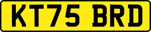 KT75BRD