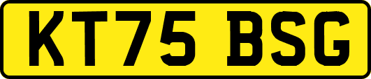KT75BSG
