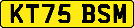 KT75BSM