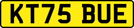 KT75BUE