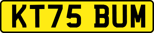 KT75BUM