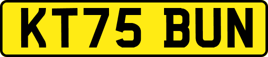 KT75BUN