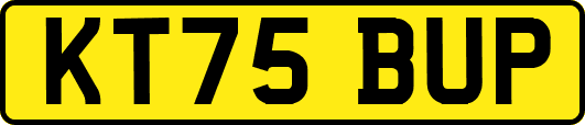 KT75BUP