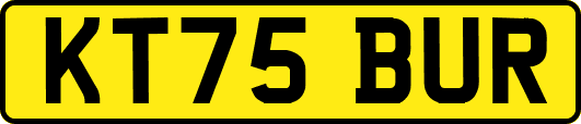 KT75BUR