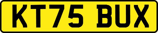KT75BUX