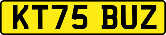 KT75BUZ