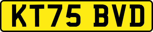KT75BVD