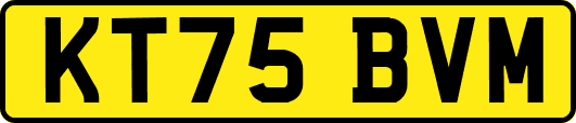 KT75BVM