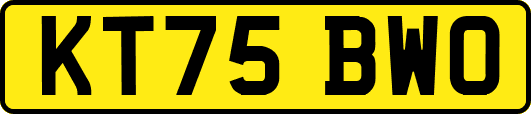 KT75BWO