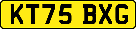 KT75BXG