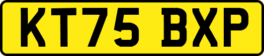 KT75BXP