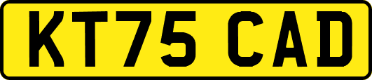 KT75CAD