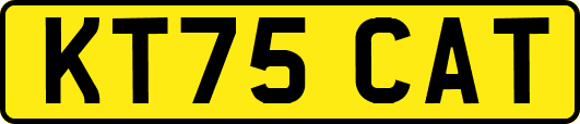 KT75CAT