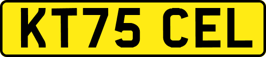 KT75CEL