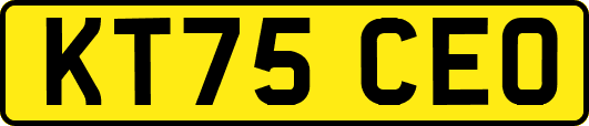 KT75CEO