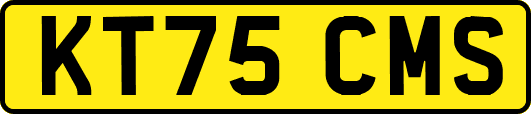 KT75CMS