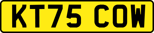 KT75COW