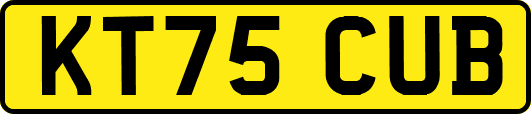 KT75CUB
