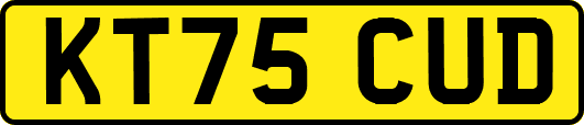 KT75CUD