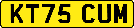 KT75CUM