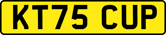 KT75CUP