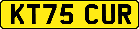 KT75CUR