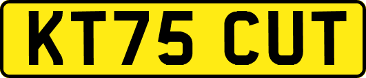 KT75CUT