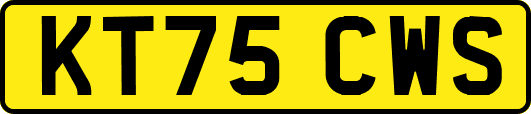 KT75CWS