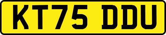 KT75DDU
