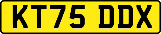KT75DDX