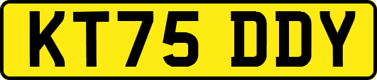 KT75DDY