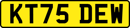 KT75DEW