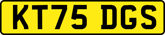 KT75DGS
