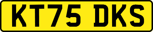 KT75DKS