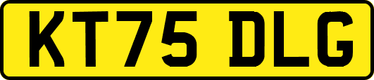 KT75DLG