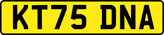 KT75DNA
