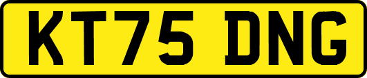 KT75DNG
