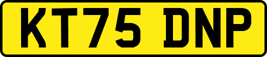 KT75DNP
