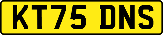 KT75DNS