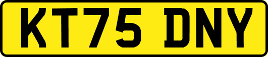KT75DNY