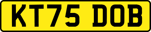 KT75DOB