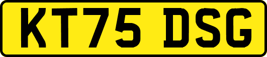 KT75DSG