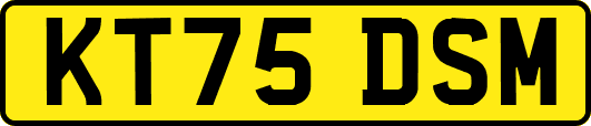 KT75DSM