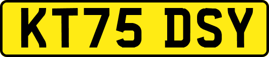 KT75DSY