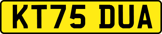KT75DUA