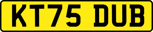 KT75DUB