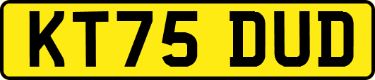 KT75DUD