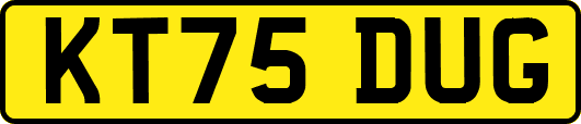KT75DUG