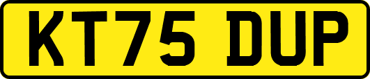 KT75DUP