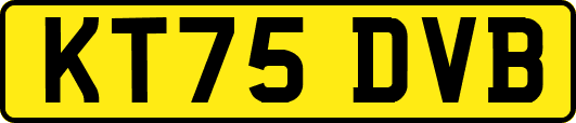 KT75DVB